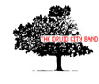 Druid City Band